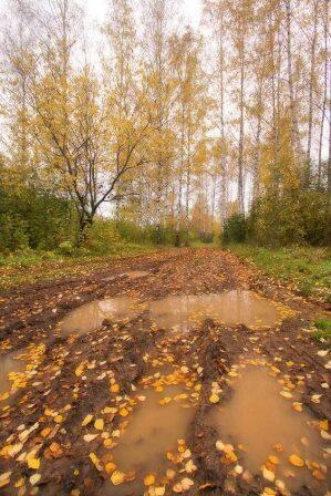 Осенние страдания