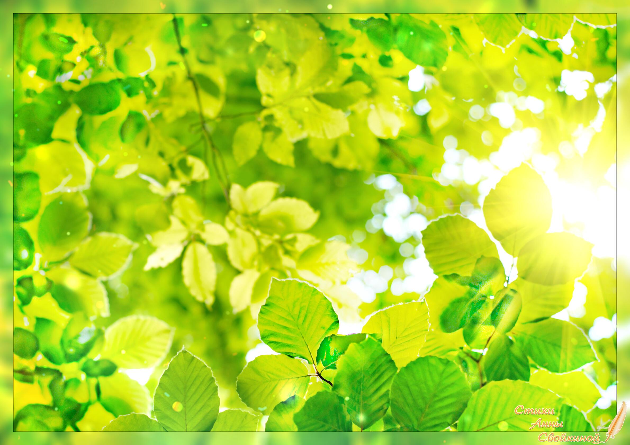 Лето как лето