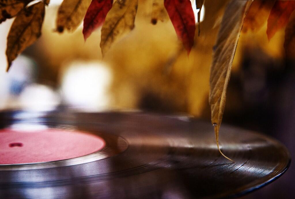 Стремящаяся к свету