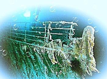 В тихом омуте