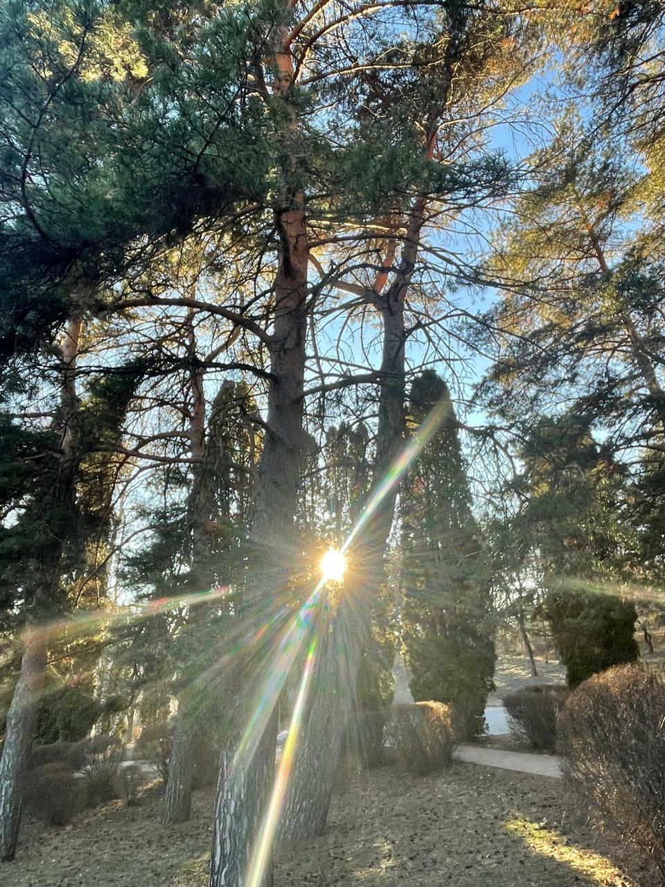 Отдай солнцу боль