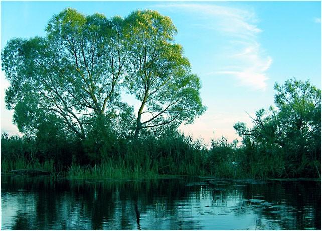 Альфа-Бетта