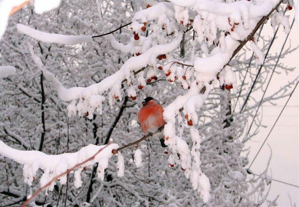 Вновь февраля настало время