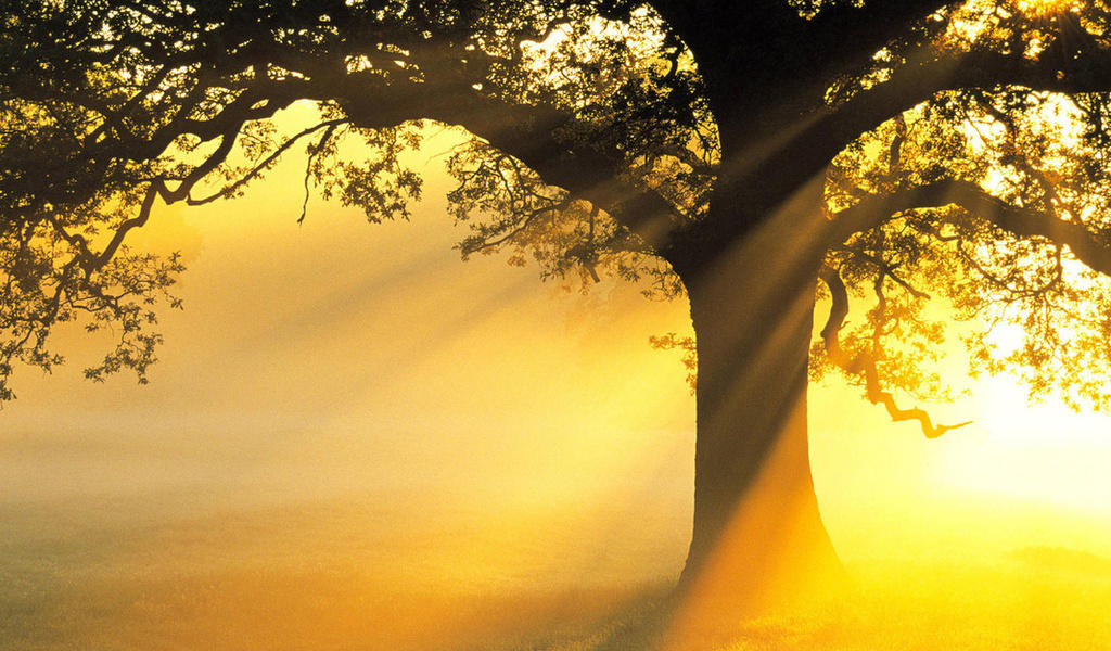 НА ПОРОГЕ ВЕСНЫ РОЖДЕСТВА