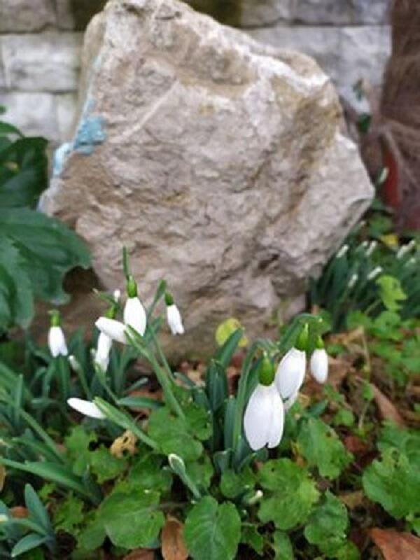 ЗИМА ПО-КРЫМСКИ...