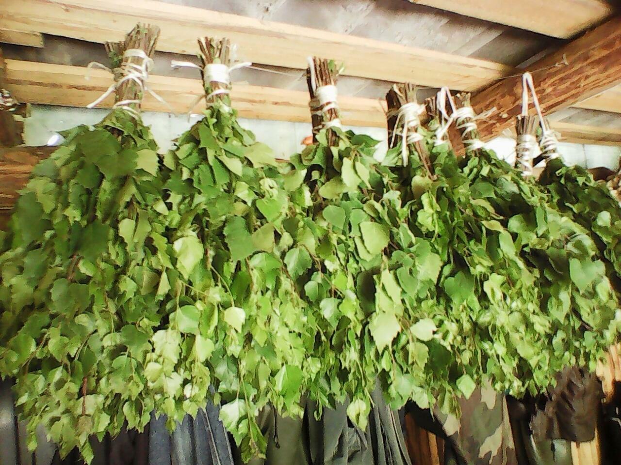 БЕРЁЗА  К  ТРОИЦЕ  СОЗРЕЛА