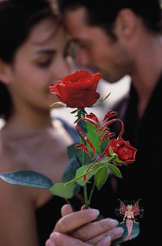 Шипы и роза