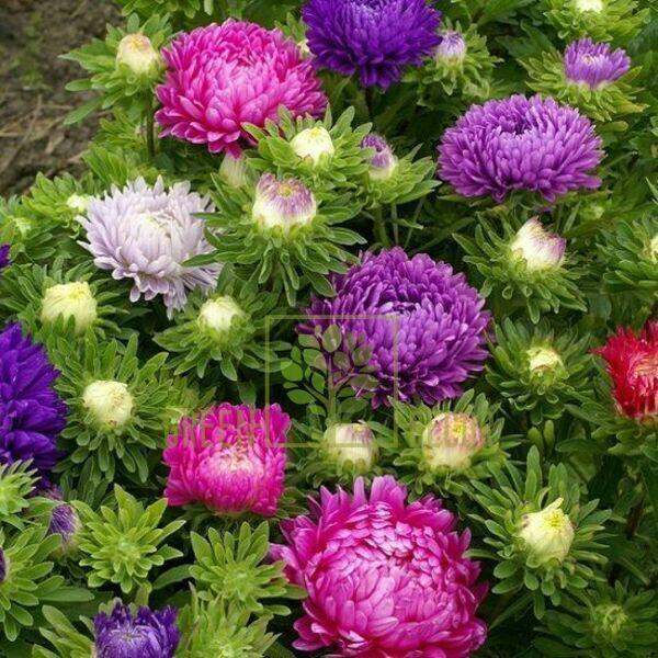 В чем здесь, всё-таки, секрет!