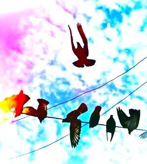 Городское утро