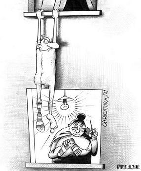 Прям из джунглей