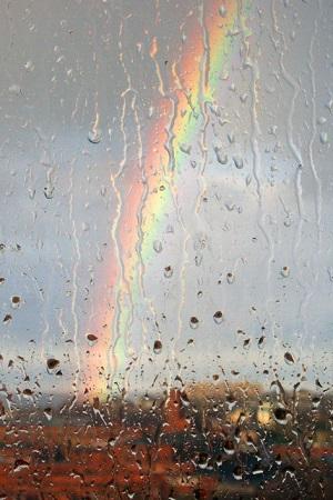 Сказка о грибном дождике