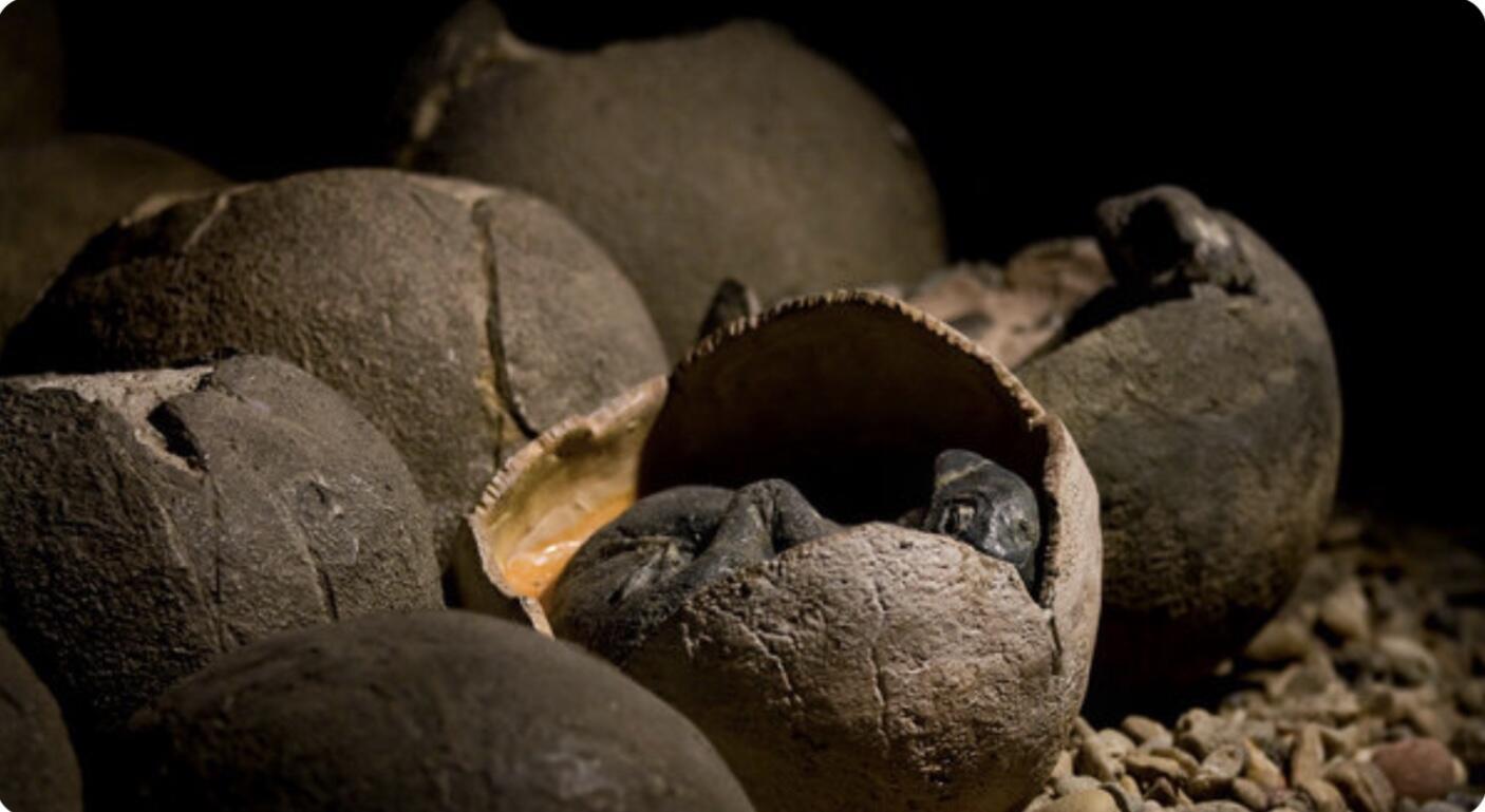 Вековые яйцы