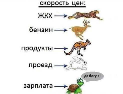 ЗАРПЛАТЫ И ЦЕНЫ