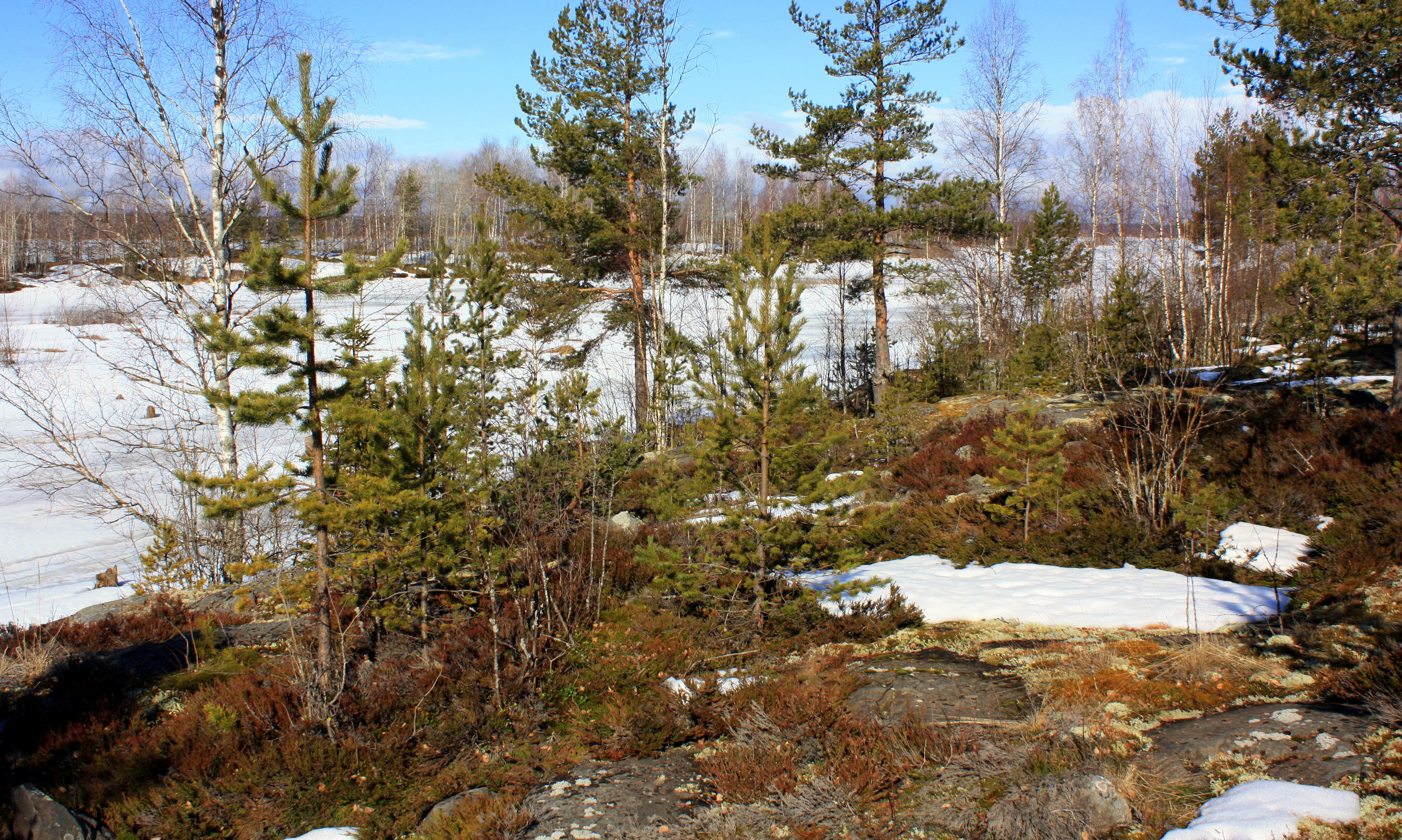 Придя неоткуда