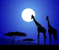 Очарованные луной