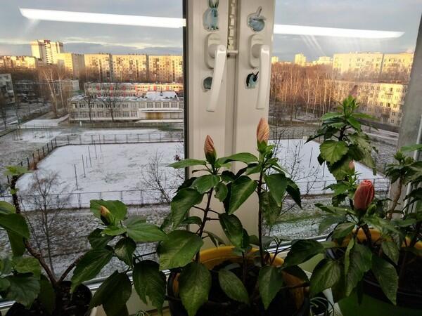 СКОРО КРЕЩЕНИЕ