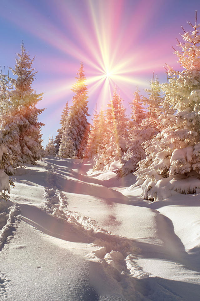 СЕГОДНЯ СОЛНЦЕ ПО ВЕСЕННЕМУ СВЕТИЛО