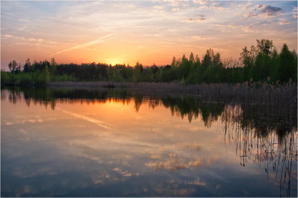 Мысли у лесного озера