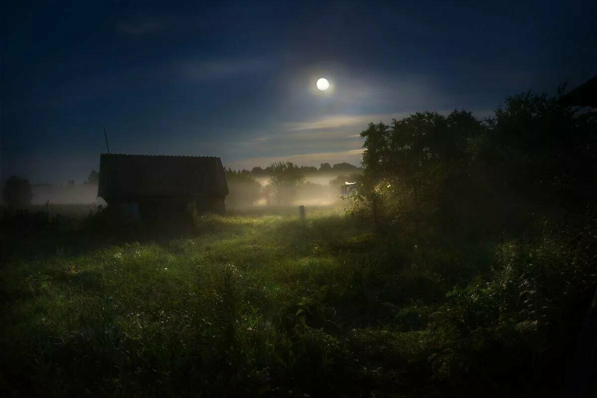 Ночь в деревне фото. Ночь в деревне. Дерево ночью. Ночь в деревне летом. Ночная деревня.