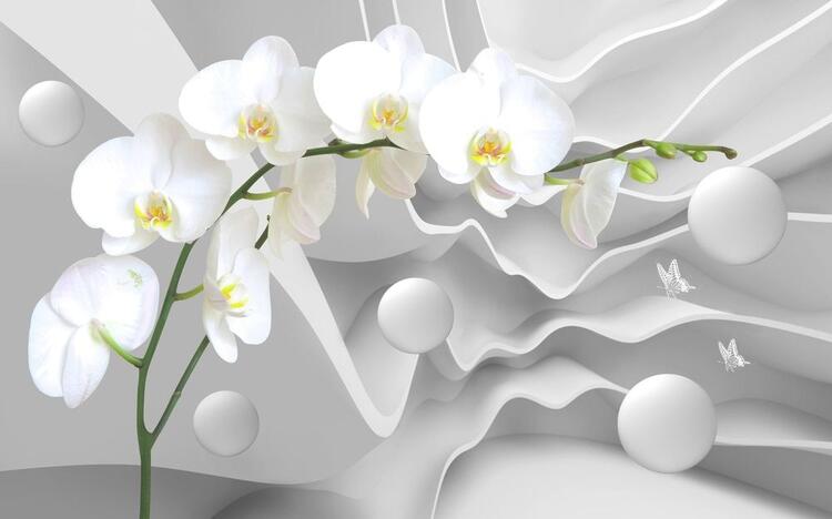 Белая орхидея в исполнении Елены Маак