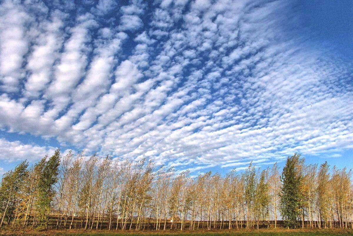 ВЕТЕР  ЗАБЛУДИЛСЯ  В  ОБЛАКАХ