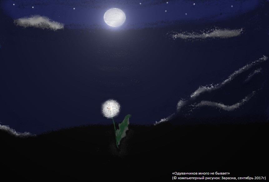 Ночные мысли одуванчика.