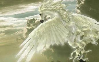 Давно Пегаса не кормил