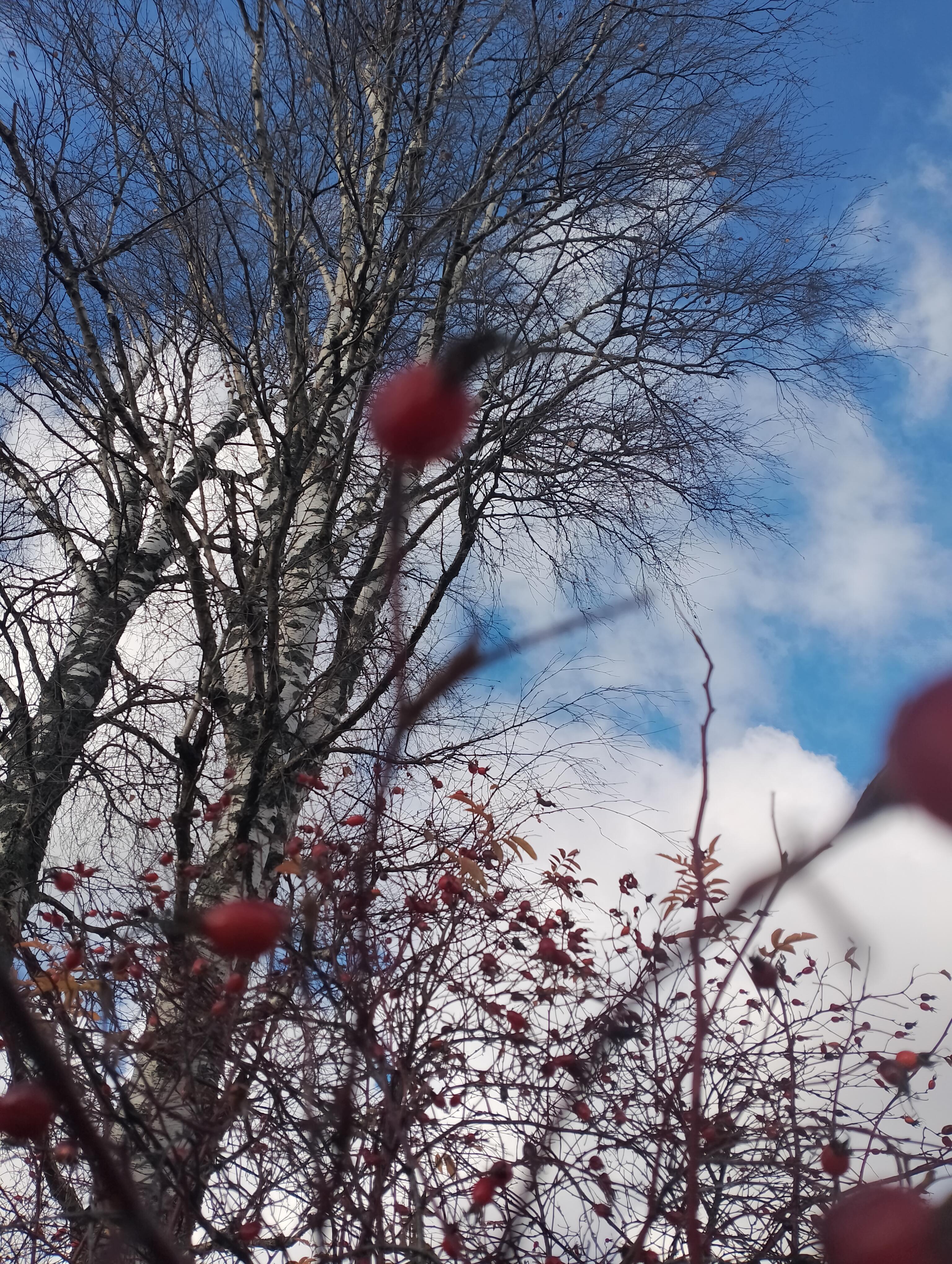 Я боюсь не найти снова слов..