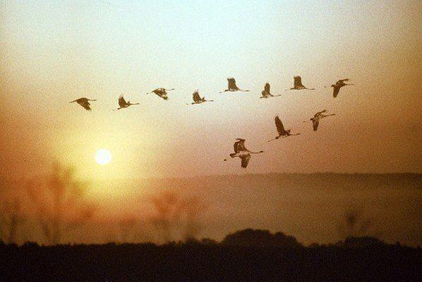 Эскиз о времени