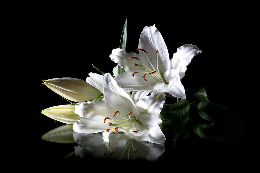 Аквамариновый туман