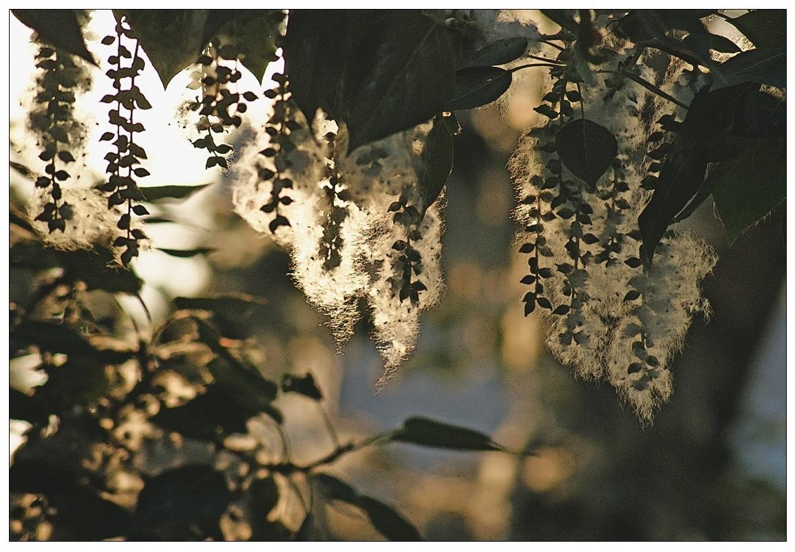 Время дождей