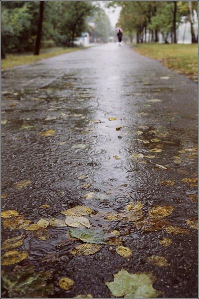 Осеннее настроение