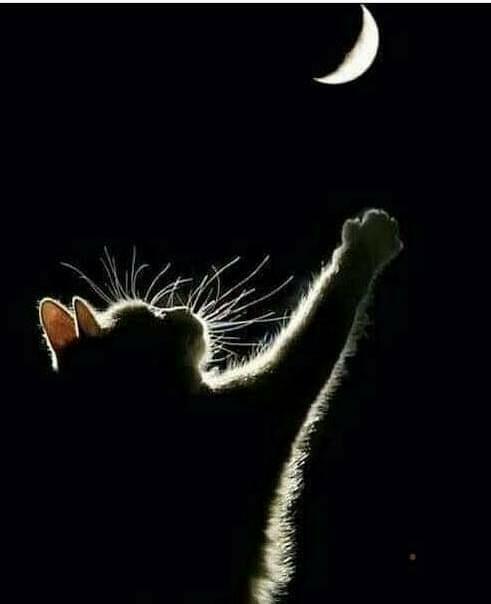 Колыбельная