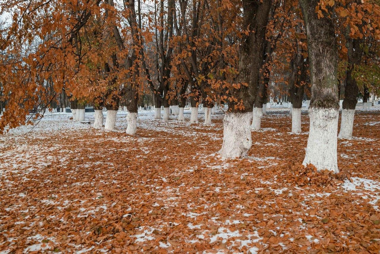 Покров