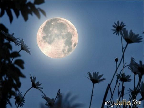 Теплый свет весенней луны