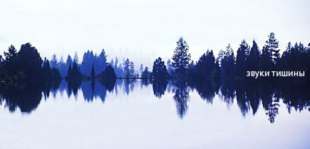 Звуки тишины