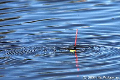 Речка будет, рыба будет...