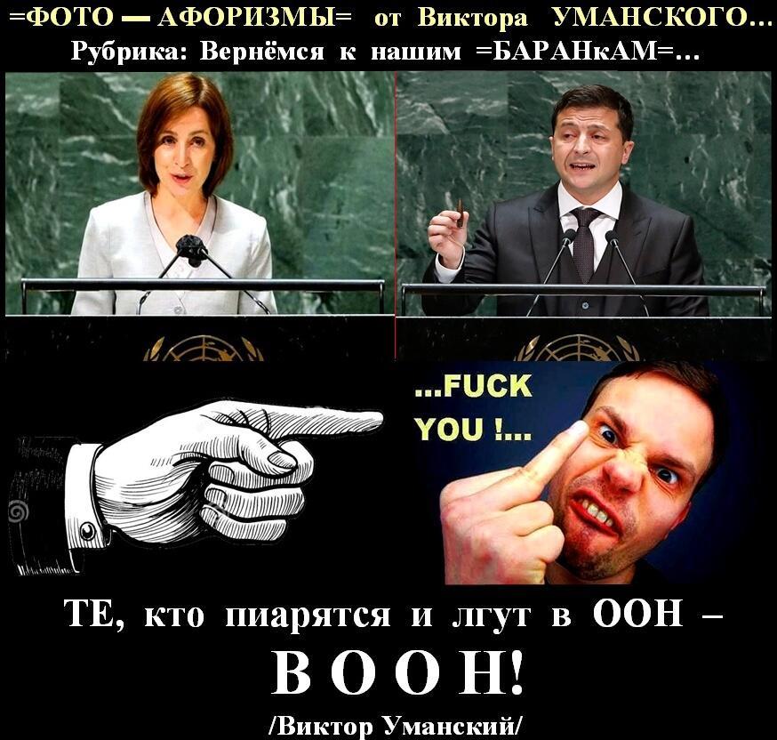 =ЗВЁЗДНАЯ ПУРГА= Майи Санду и Владимира Зеленского в ООН…