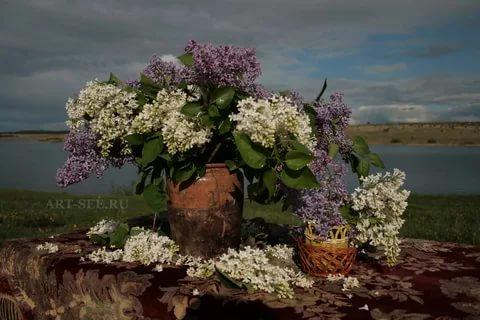 За окнами пахнет сиренью