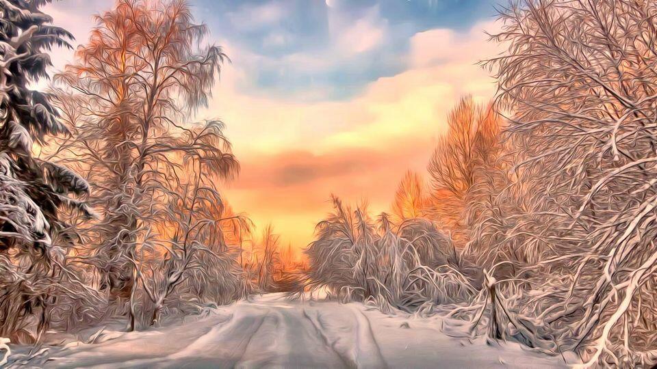 Шоры на глазах