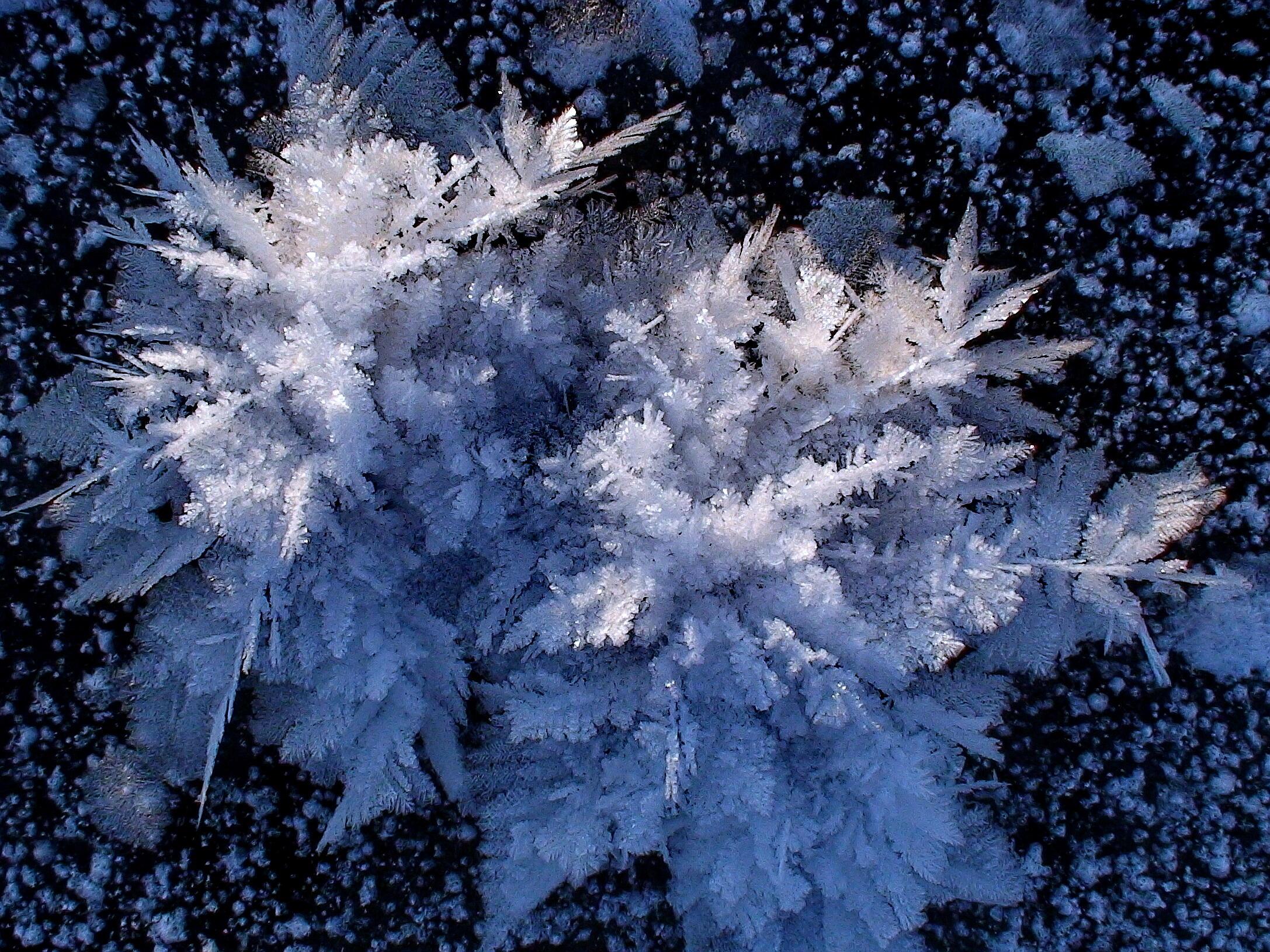Снежные сугробы подернулись. Ледяные цветы в Северном Ледовитом океане. Ледяные цветы Арктики. Снежинки в природе. Ледяная Снежинка.