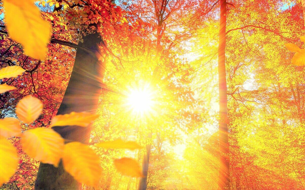 МУЗЫКАЛЬНЫЙ КОНТРАБАС... БЕЗ НЕГО ЯРКИХ НЕ БЫВАЕТ НОТ.