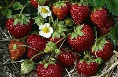 ВАЛЕНТИНА ИВАНОВНА, СКОЛЬКО НОЧЕЙ