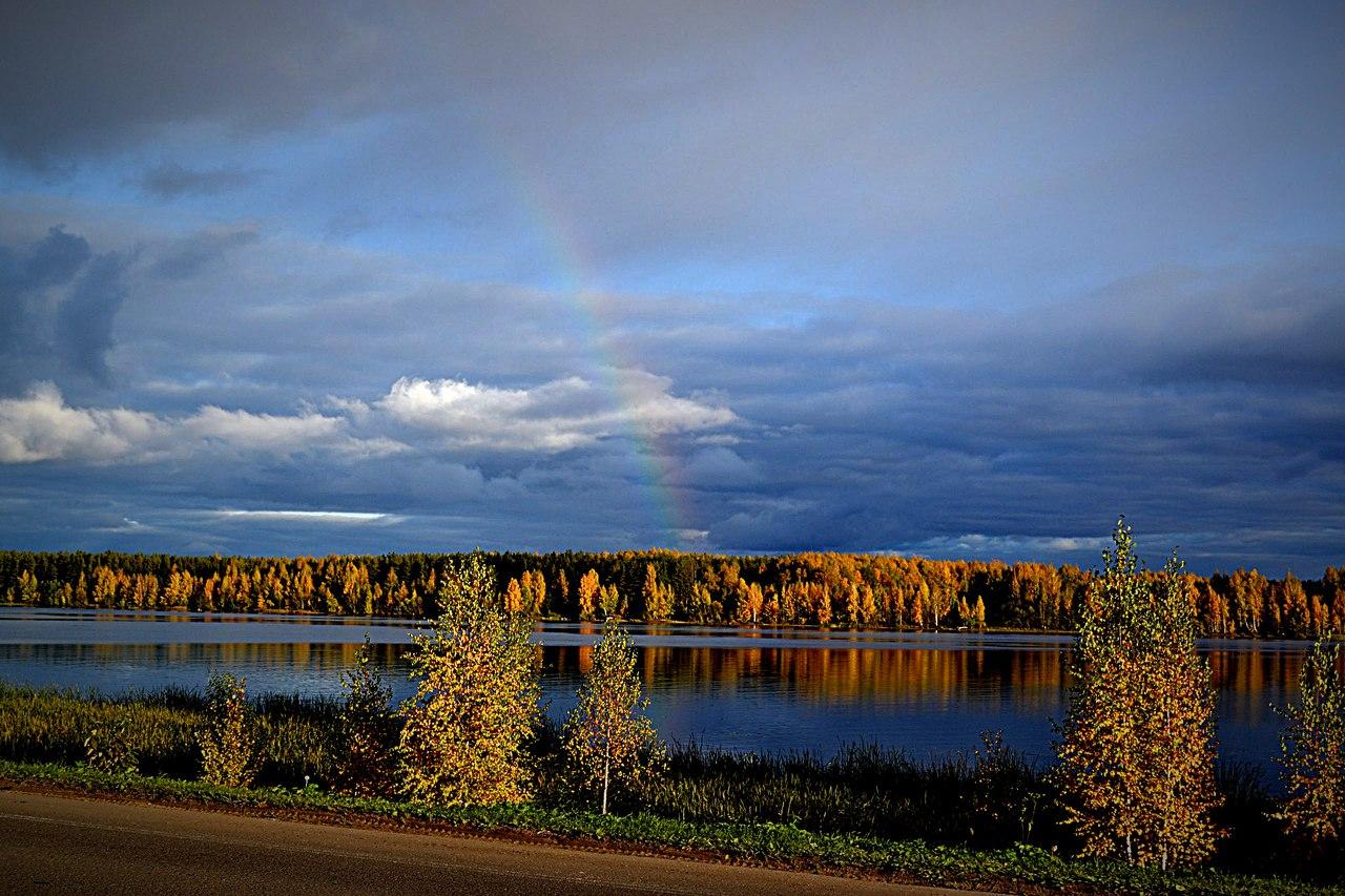 Природа города Кирсанов река Пурсовка осень