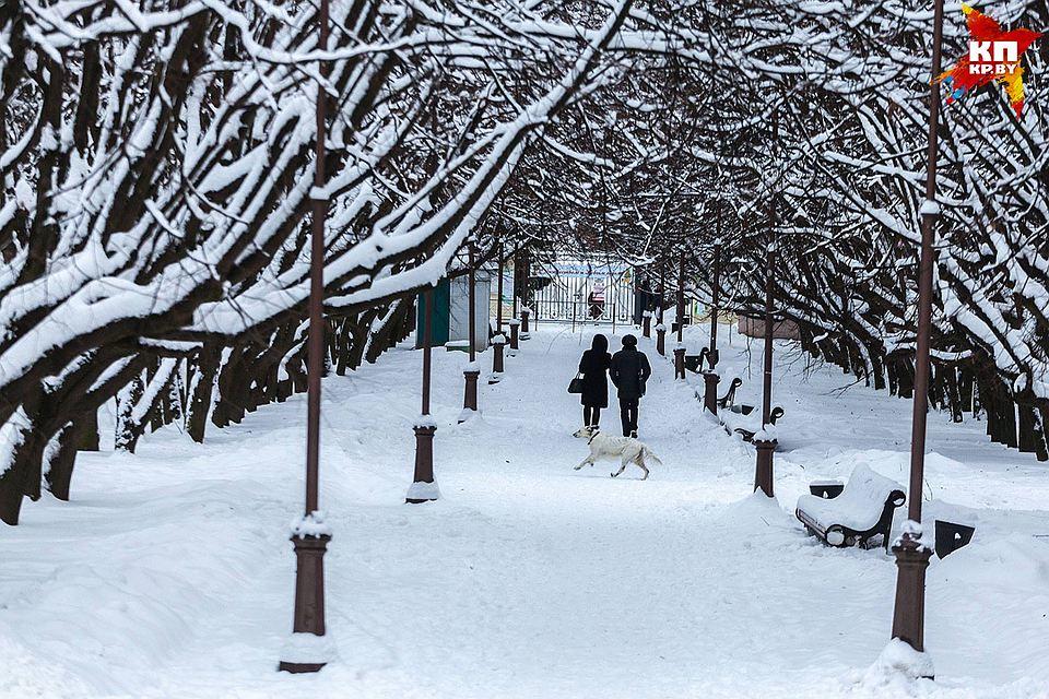 Первый настоящий снег