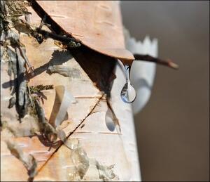 Это будет новая дата