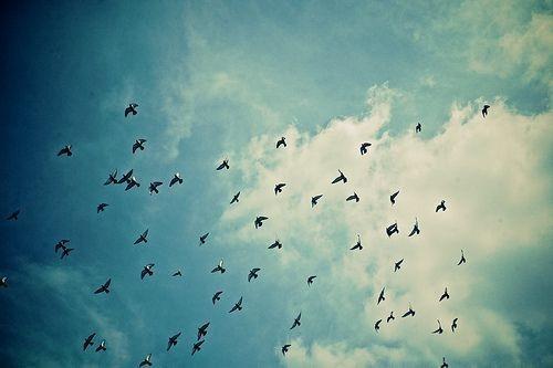 ИРЛАНДСКАЯ ВЕСНА