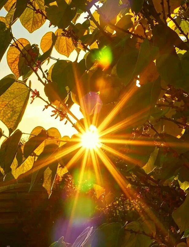 Чудесное утро