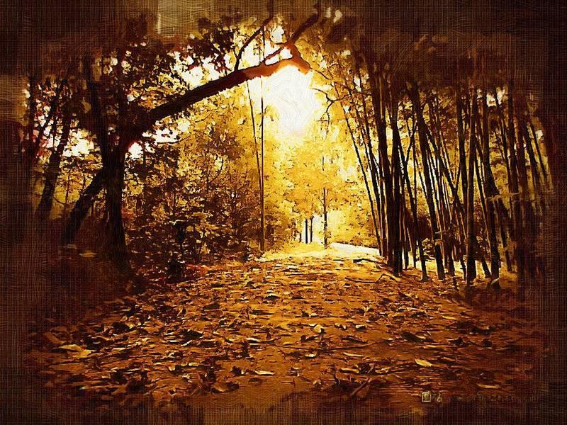 В творении Своём открылся Бог