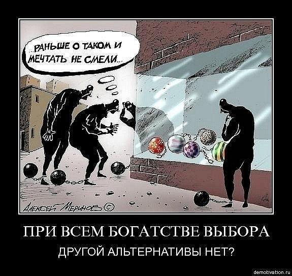 Твой выбор, - ВОЛЯ или плеть